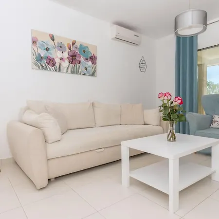 Apartment Branka *