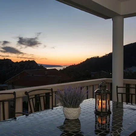 Apartment Branka