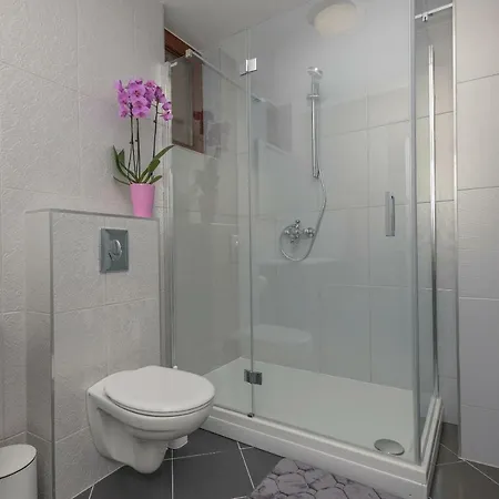 Branka Apartment