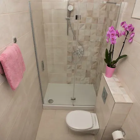Apartment Branka *