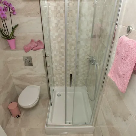 Apartment Branka *