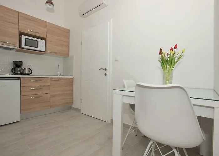 Apartment Branka